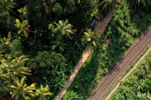 aerial photograph of train rails between trees